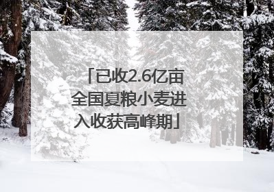 已收2.6亿亩 全国夏粮小麦进入收获高峰期
